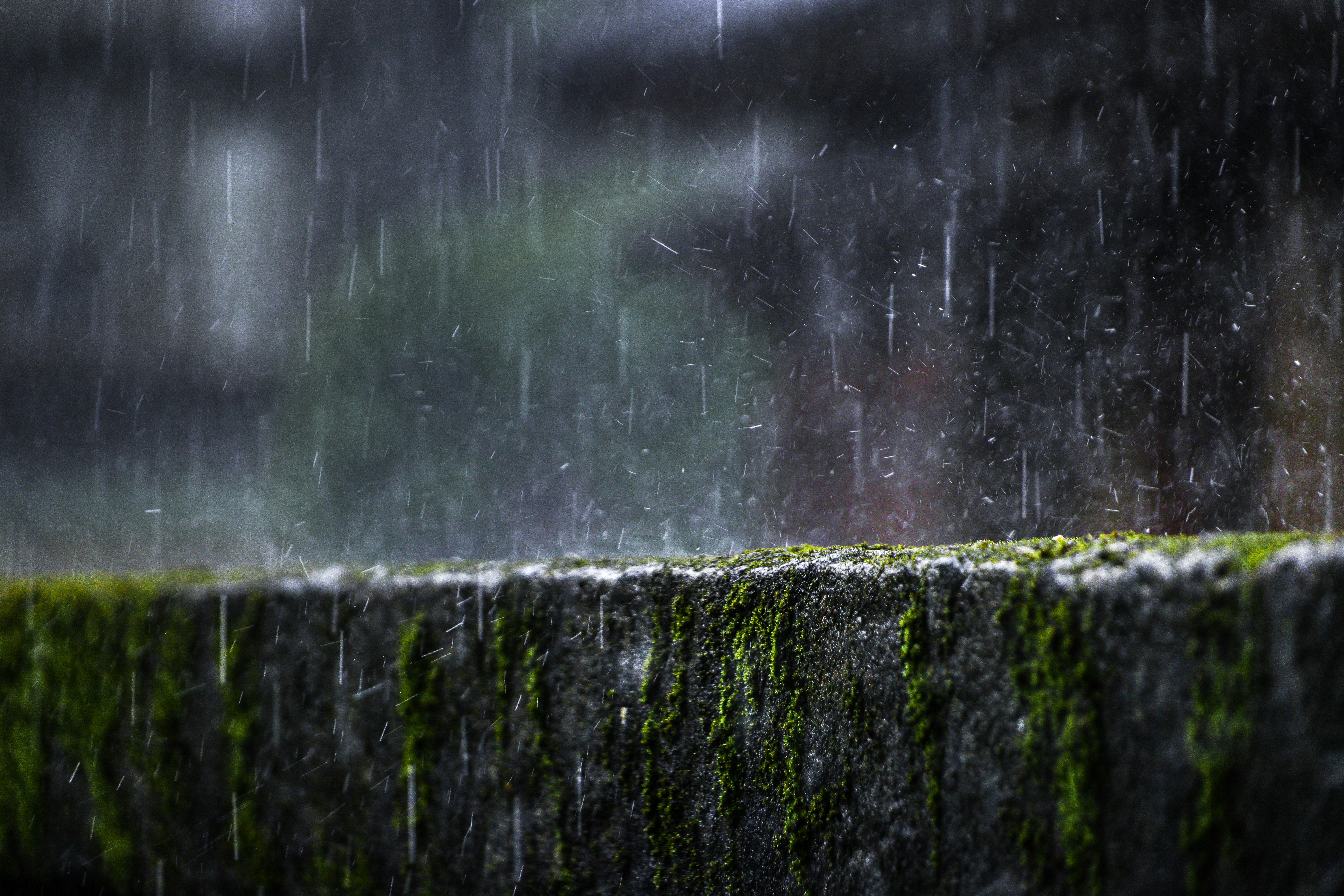 Different climates are associated with rainfall patterns